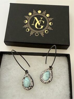 Native Gem Teardrop Larimar Halo V hook Earrings